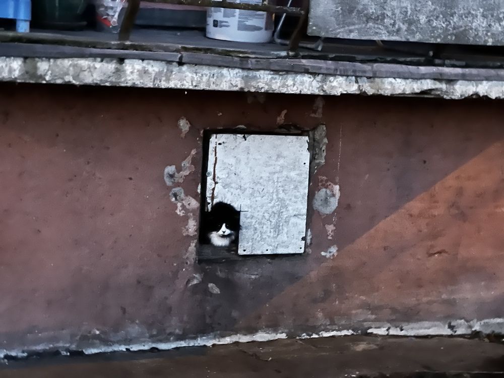 Photograph by Aleksejs Skripko