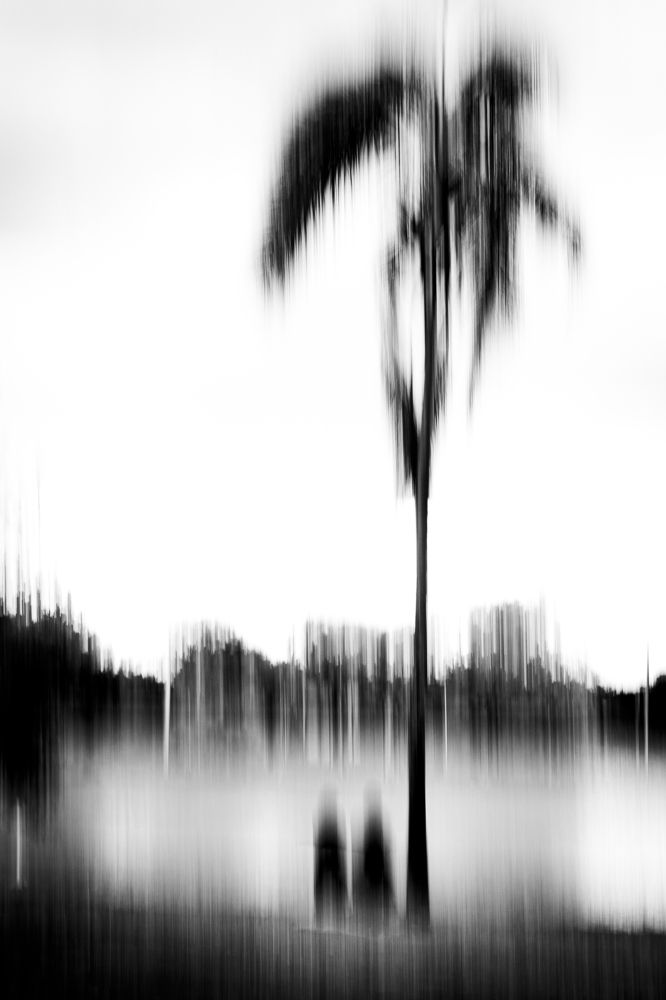 Photograph by francisco willian saldanha