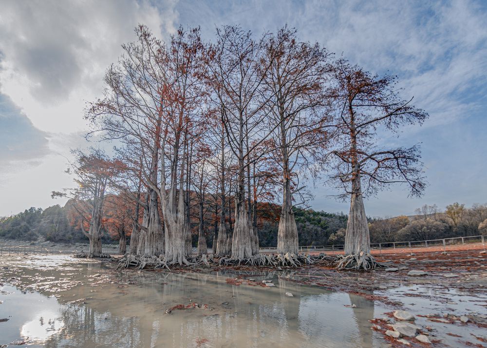 Photograph by Валерий Лейко