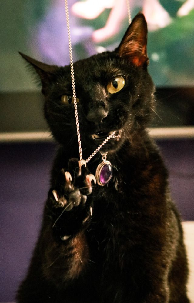 Photograph by Marcelo Nascimento