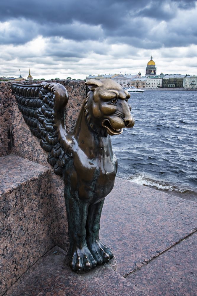 Фотография автора Светлана Котлярова