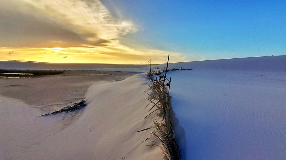 Photo #8961717