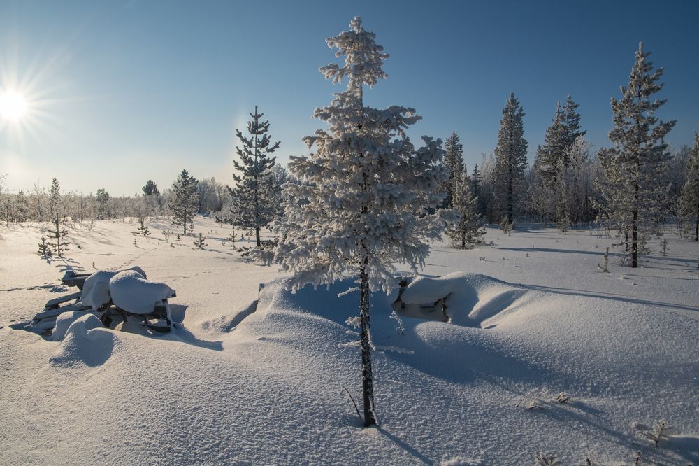 Photograph by Юрий Платухин