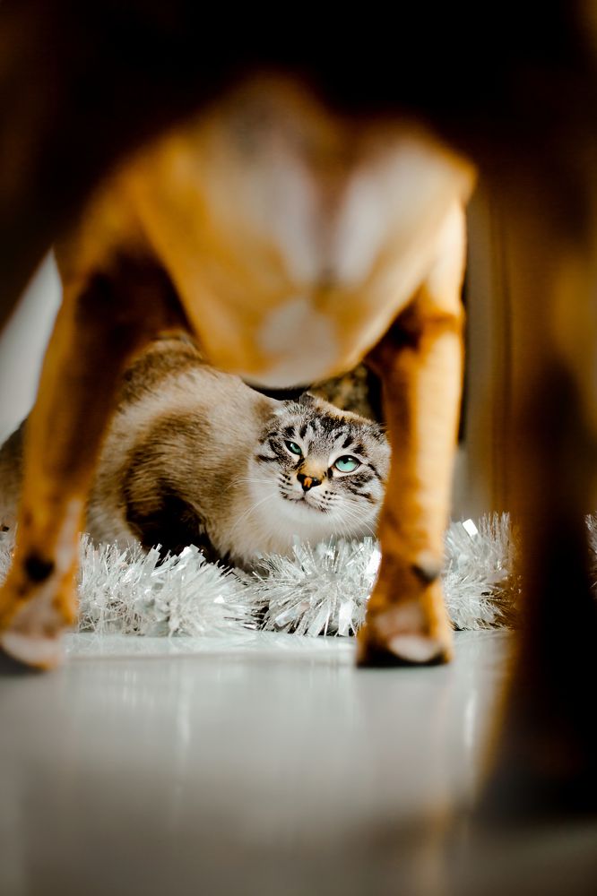 Photograph by Валерия Ватель