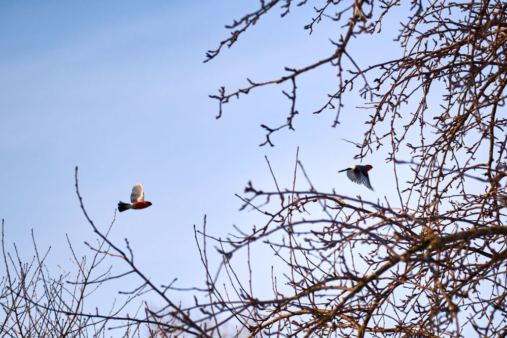 Photograph by Сергей Ветошкин