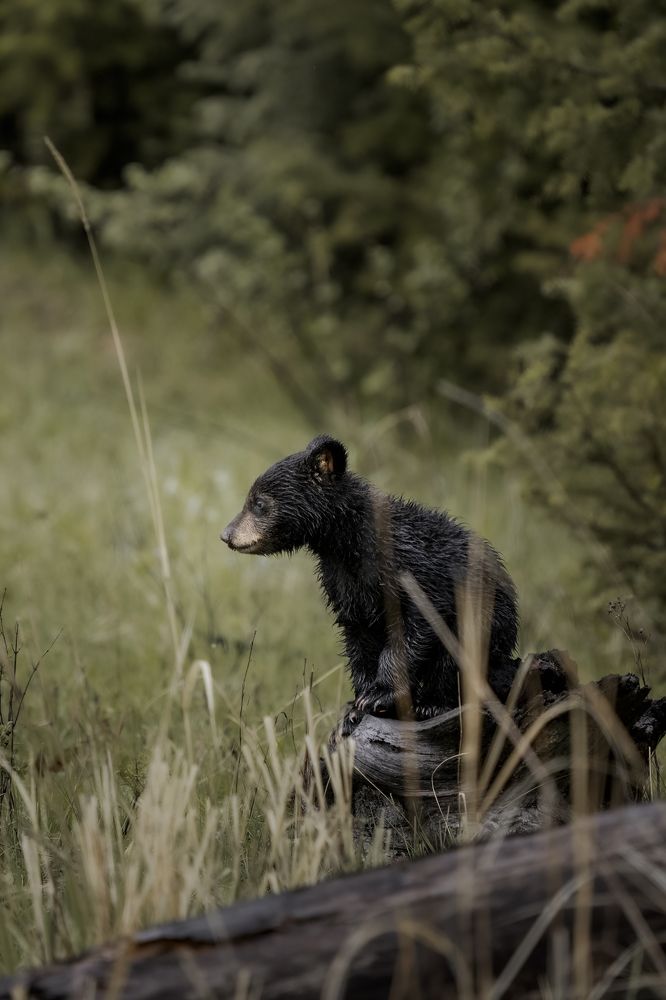 Photograph by Victoria Harris