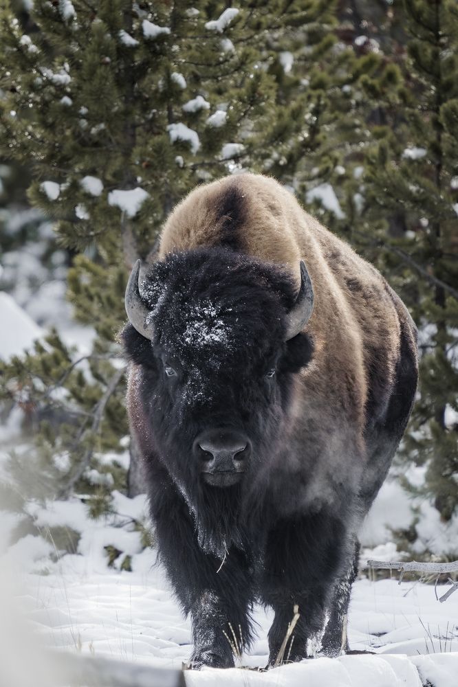 Photograph by Victoria Harris