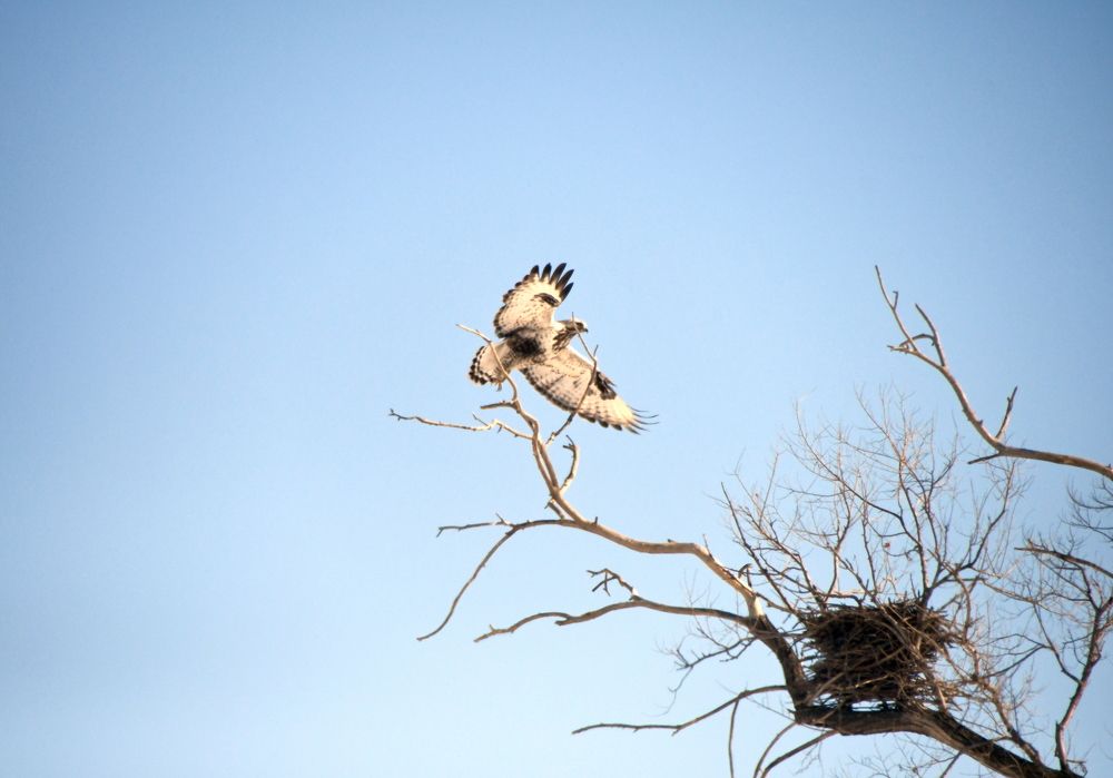 Photograph by Антон Шпак