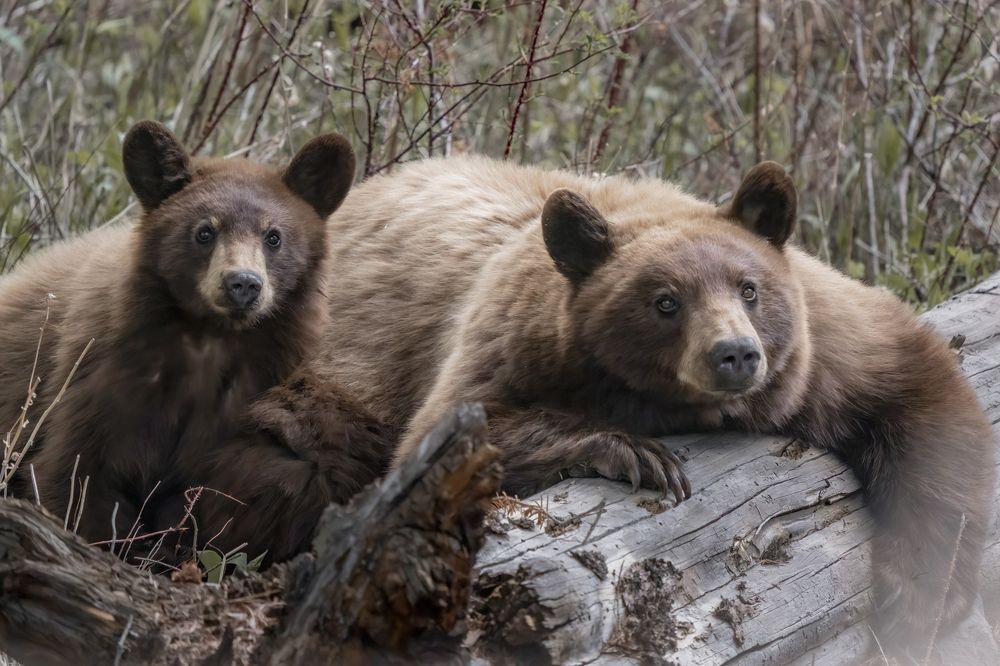 Photograph by Victoria Harris