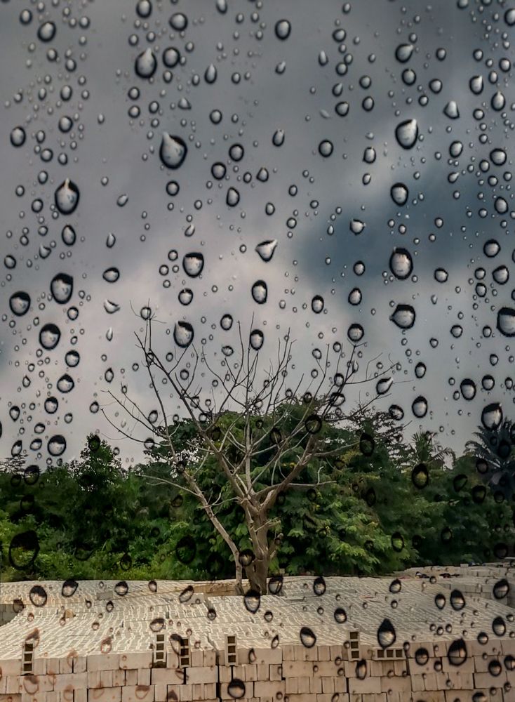 Photograph by Daniel Eteki