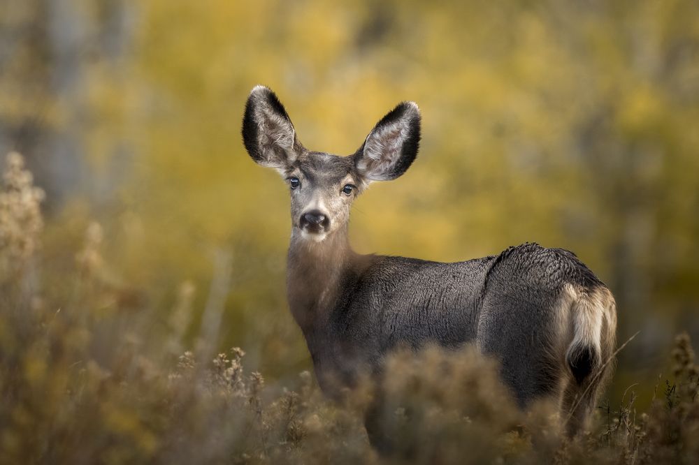 Photograph by Victoria Harris