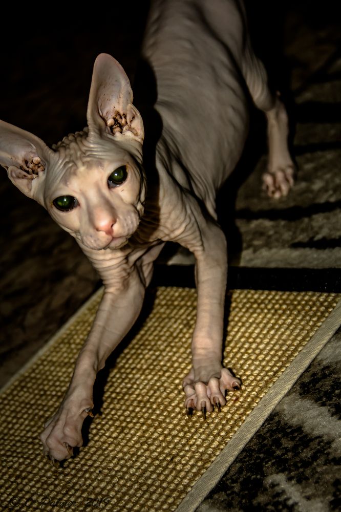 Photograph by Ольга