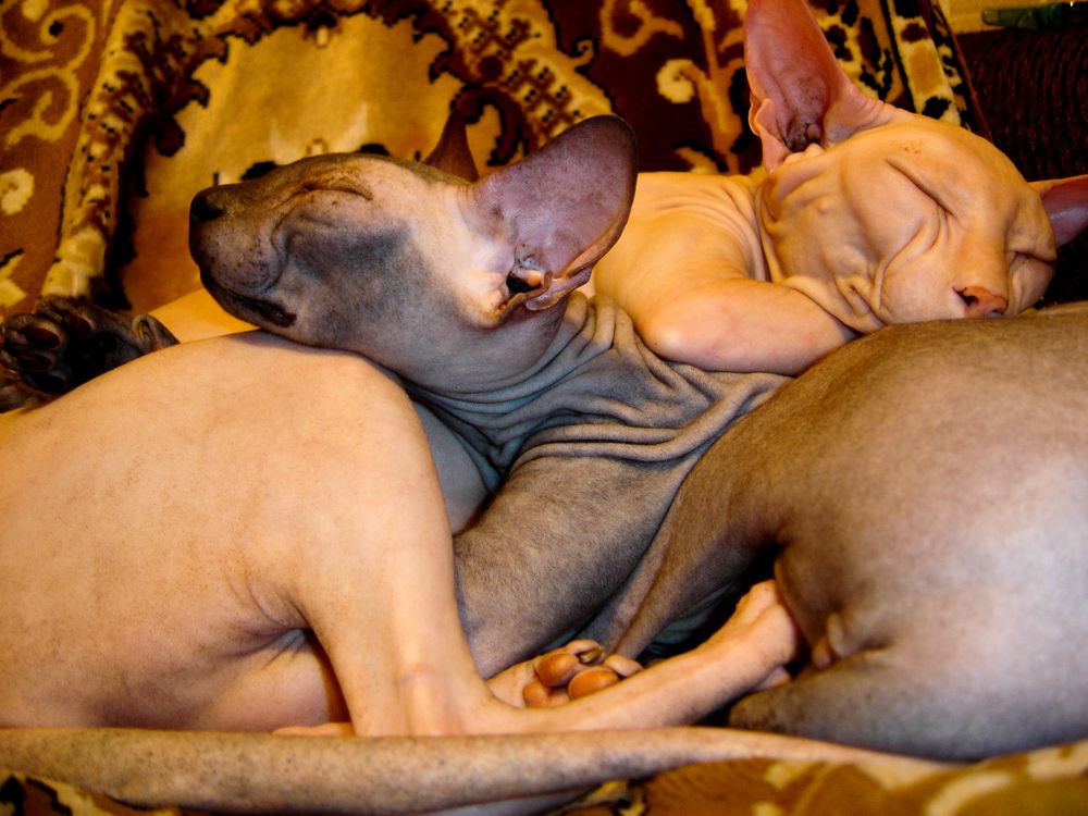 Photograph by Ольга