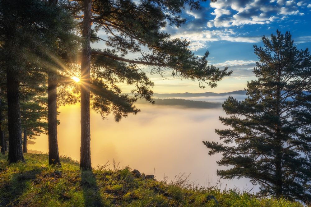 Photograph by Владимир Климов