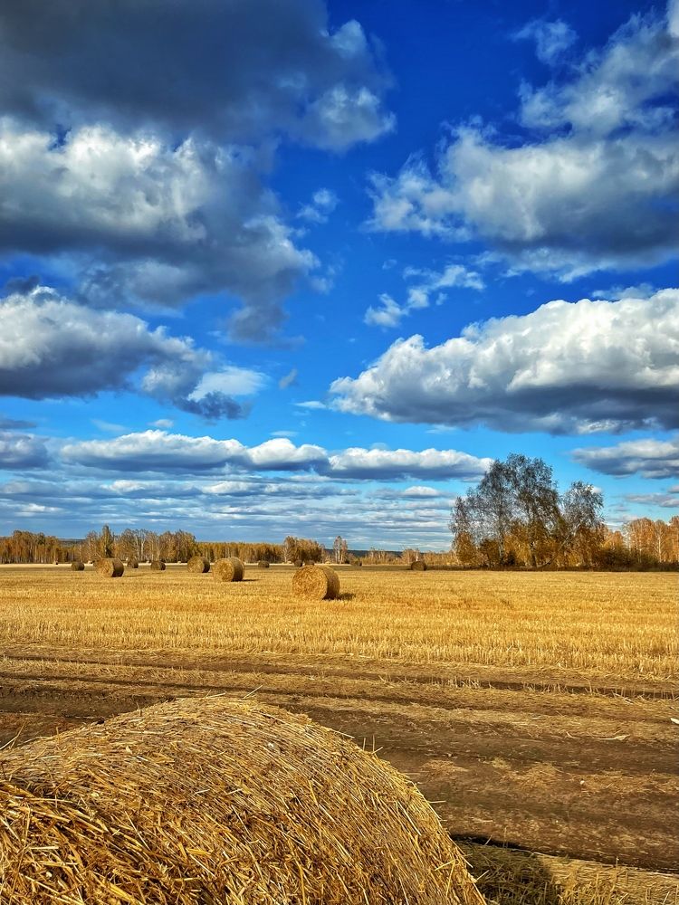 Photograph by Irina Tersenova