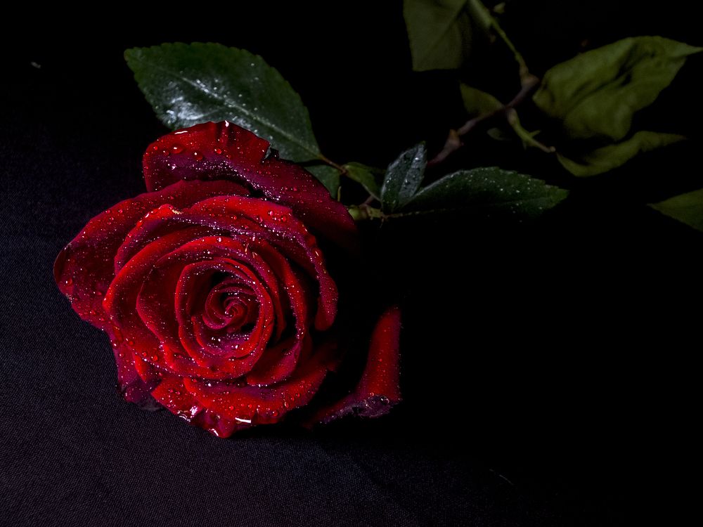 Photograph by Анна Ермилова