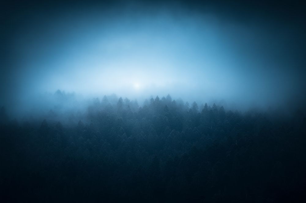 Photograph by Antonello Alò