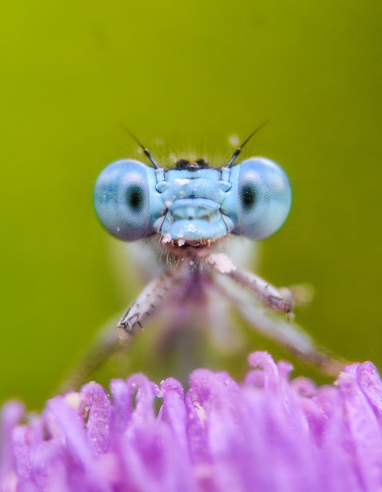 Photograph by Kasun Wickramasinghe