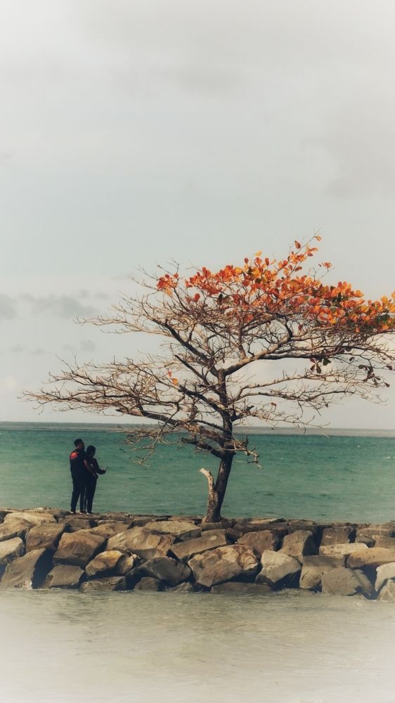 Photograph by Naimin Derbe