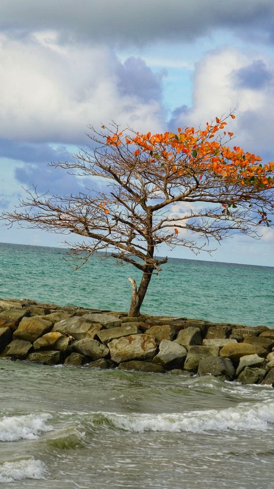 Photograph by Naimin Derbe