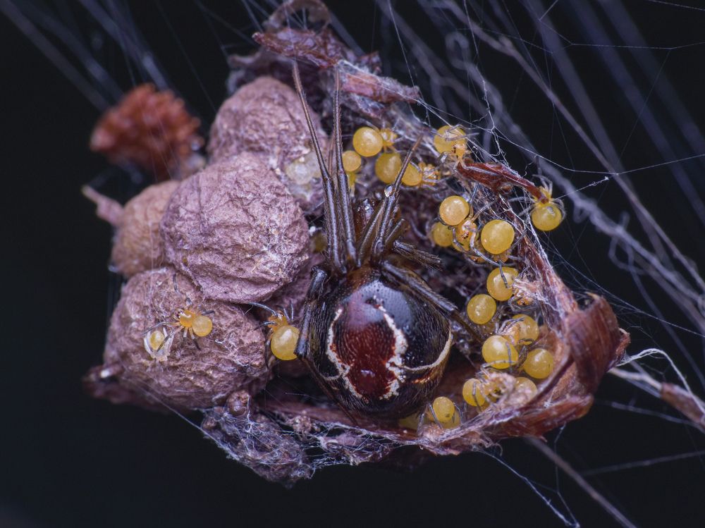 Photograph by MALLIKARJUN Manjari