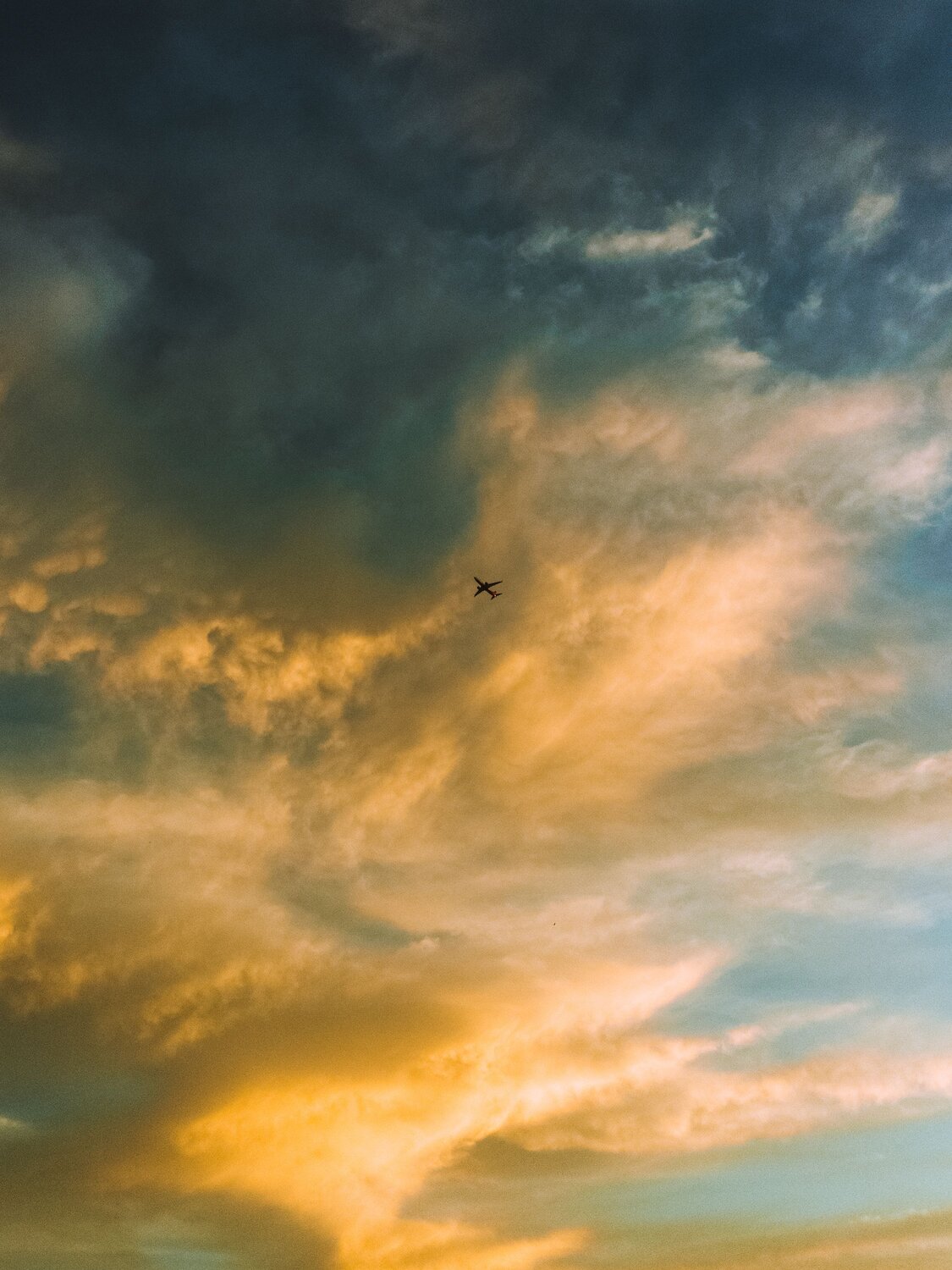 Photo #8962125