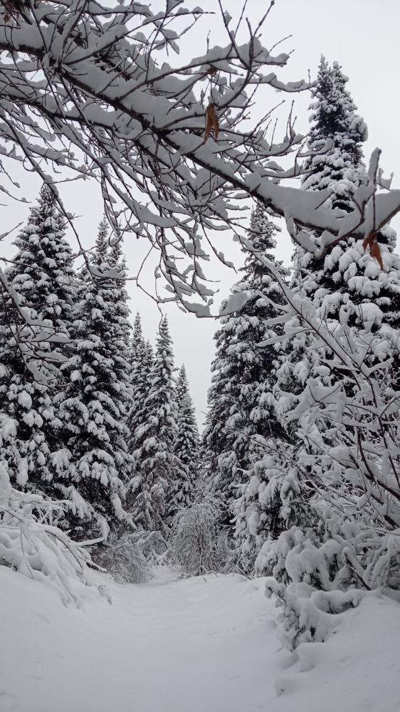 Фотография автора Ирина