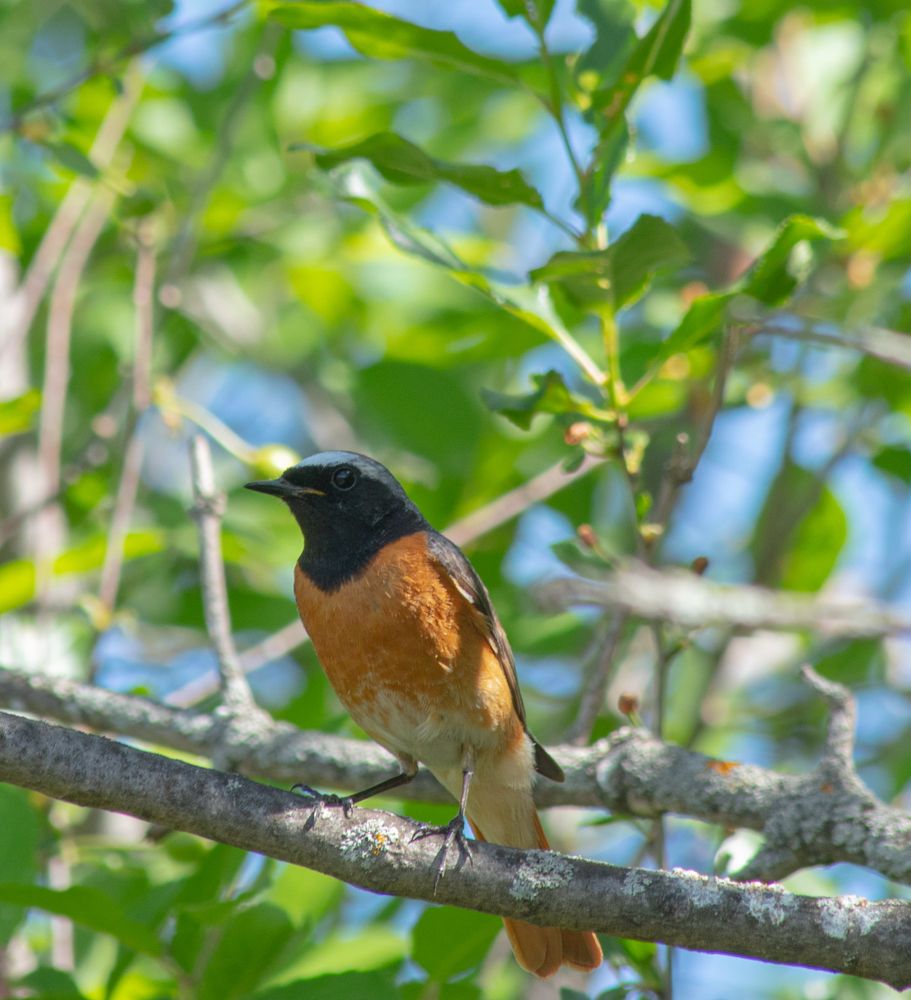 Photograph by Ирина Нурбаева