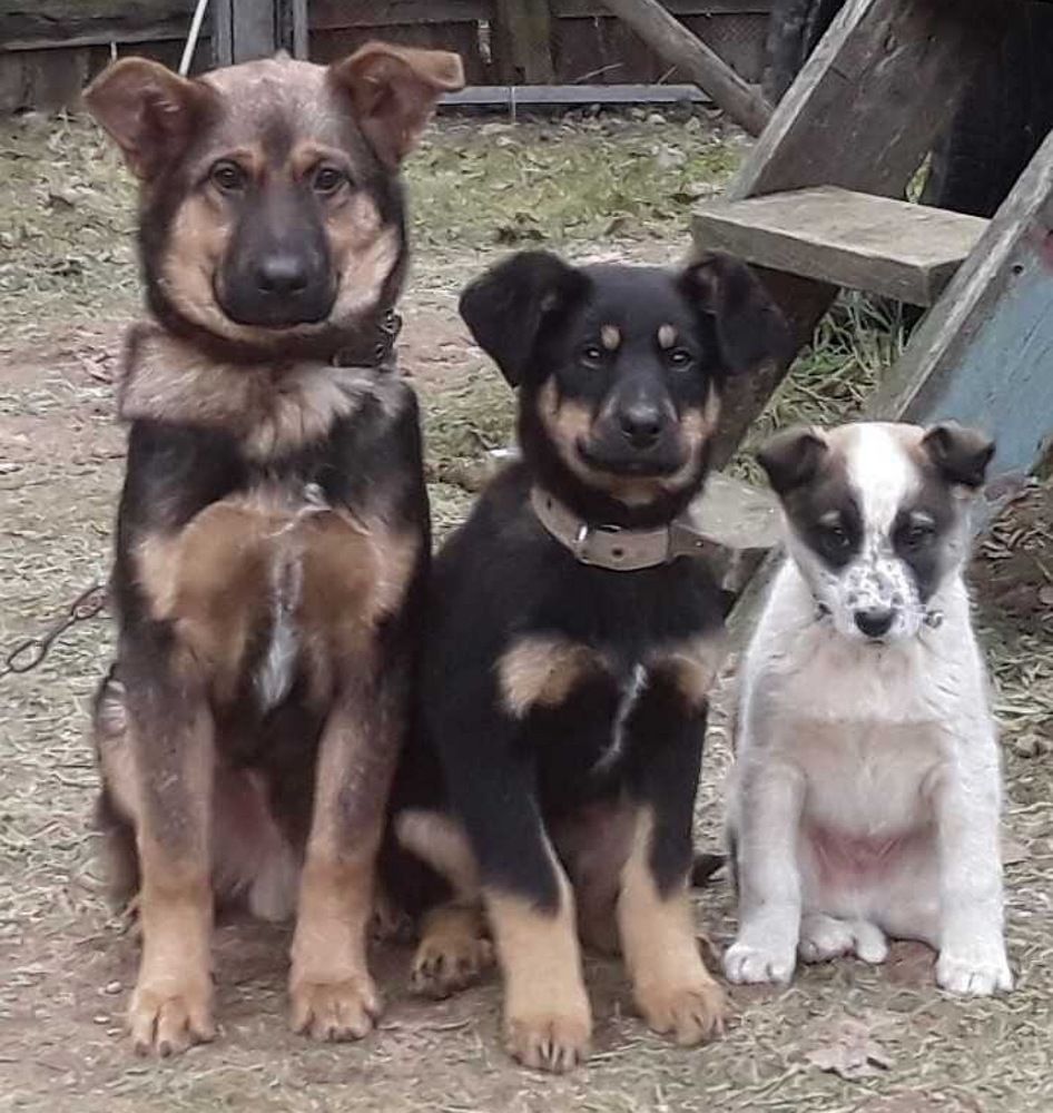 Фотография автора Ирина