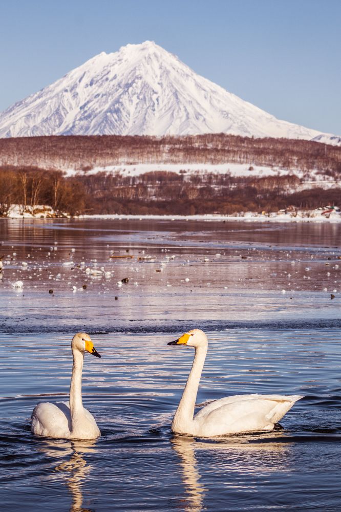 Photograph by Даниил Попков