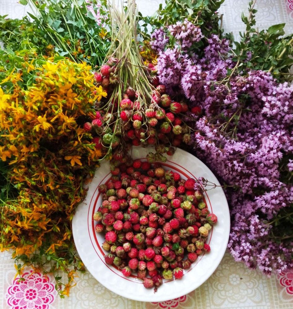 Фотография автора Ирина