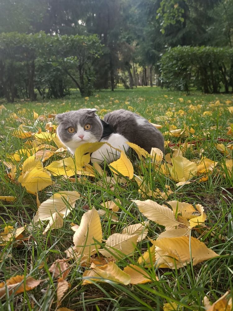 Photograph by Татьяна Братусь