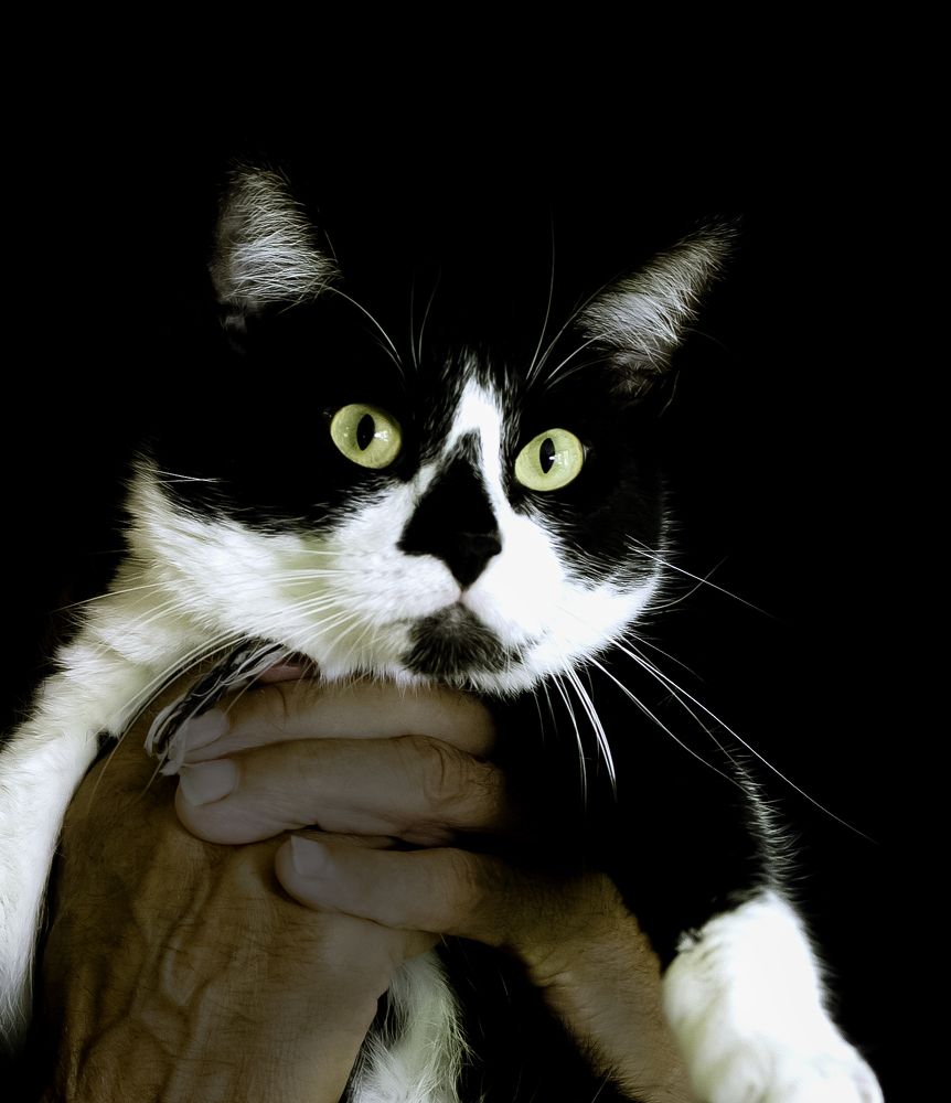 Photograph by Judit Mikol