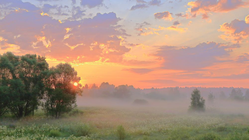 Photograph by Юрий Спасенников