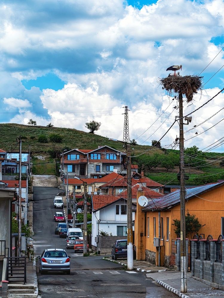 Photograph by Сергей Шишмарин