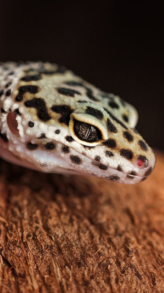 Photograph by Наталия Долганова