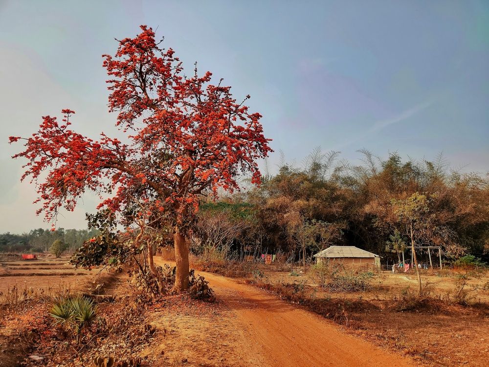 Photograph by Abhisekh Bera