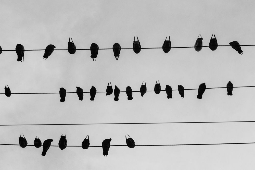 Photograph by Кирилл Трушин