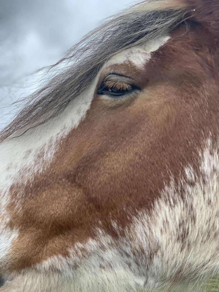 Photograph by Liliana Grup