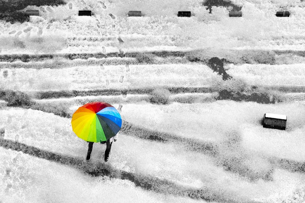 Photograph by Bimsara De Alwis