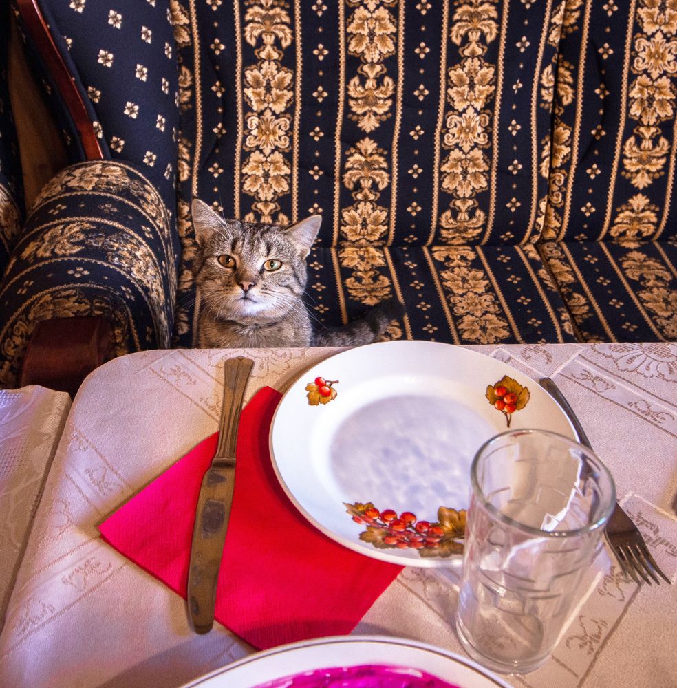 Photograph by Евгения Булычёва