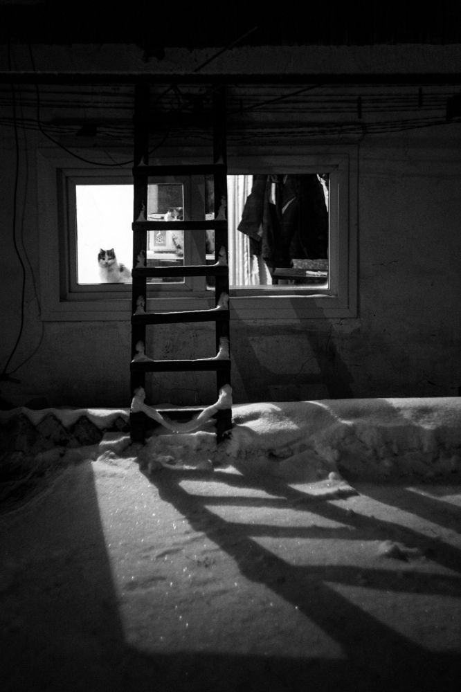 Photograph by Кирилл Трушин