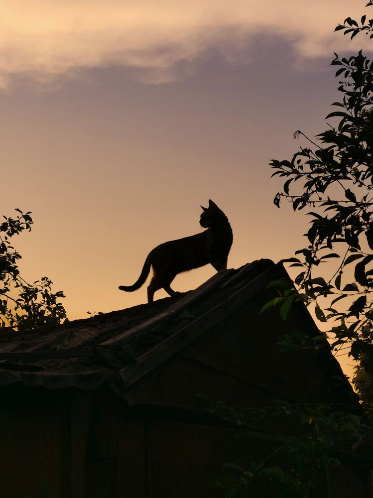 Photograph by Евгения Булычёва