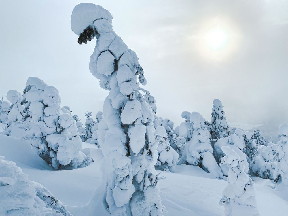 Photograph by Soul Siberia