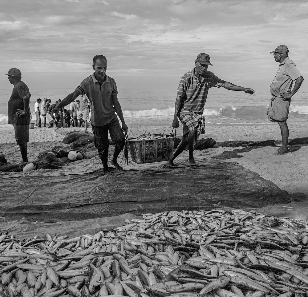 Фотография автора Laddu Sasindu Pramuditha De Silva