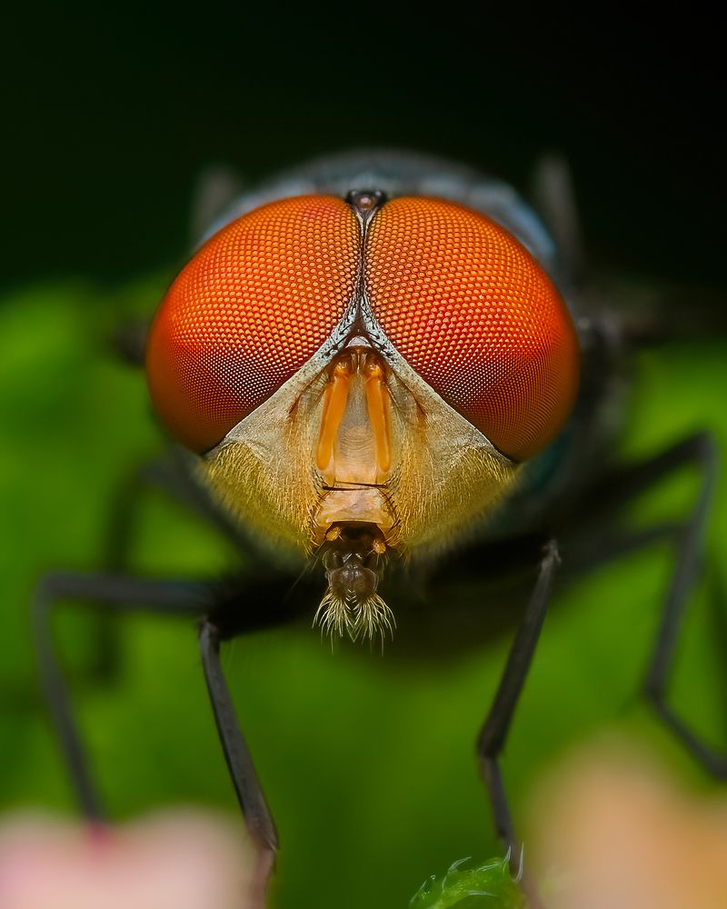 Photograph by Utkarsh Patil