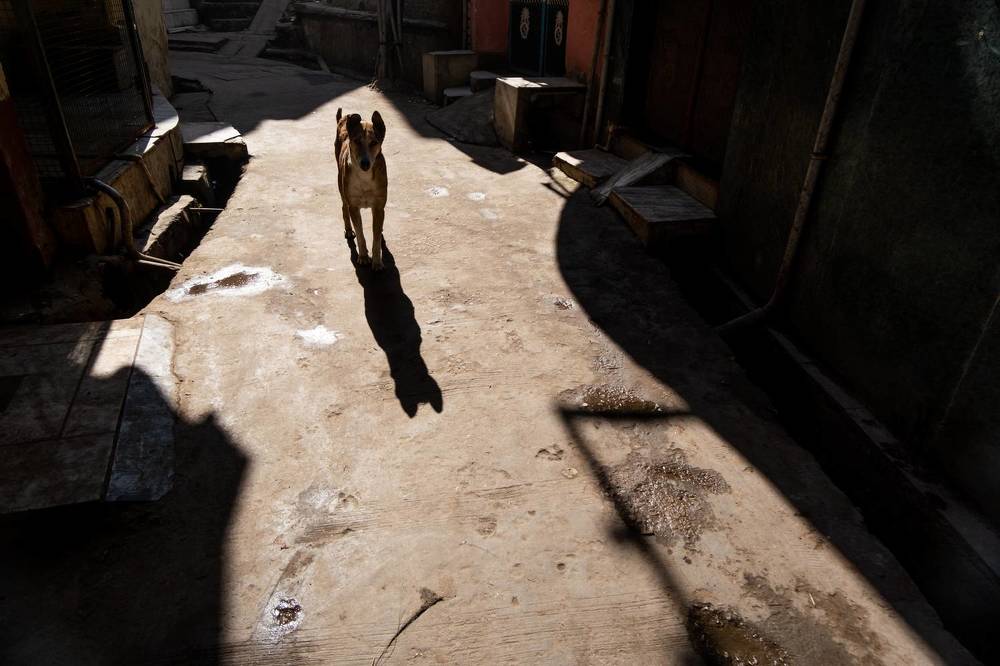 Understanding luminescence