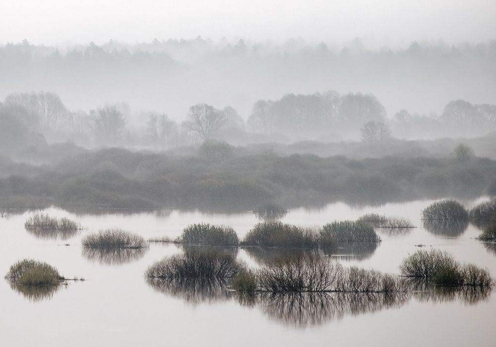 Photograph by Евгений