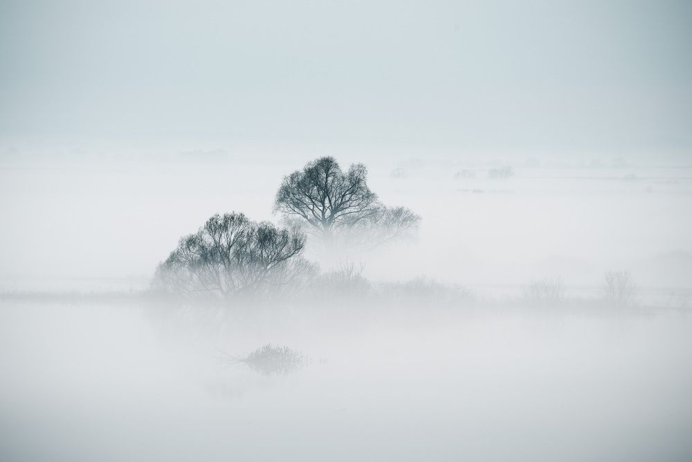 Photograph by Евгений