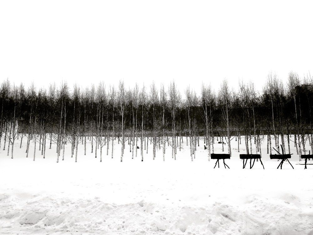 Photograph by Татьяна